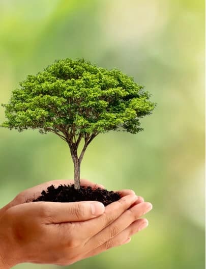 Environment Day