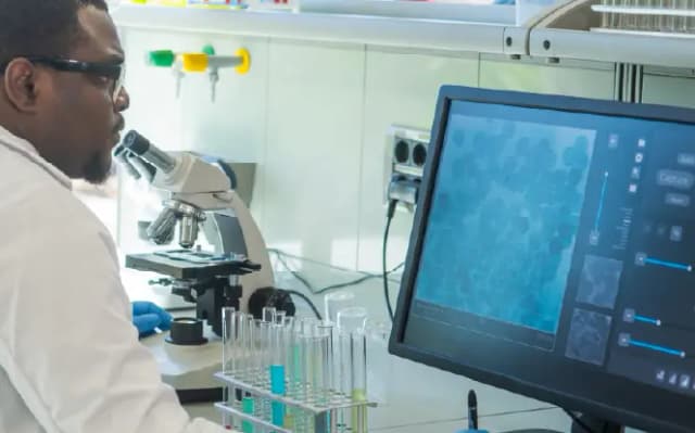 Evolutionary Policy Gradient Based Optimization For Small Molecule Drug Discovery Evolutionary Policy Gradient Based Optimization For Small Molecule Drug Discovery